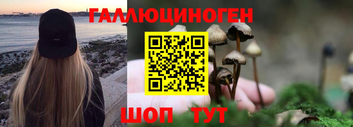 Балашиха  Псилоцибиновые грибы мицелий  Вход с VPN  Псилоцибиновые грибы Psilocybe 